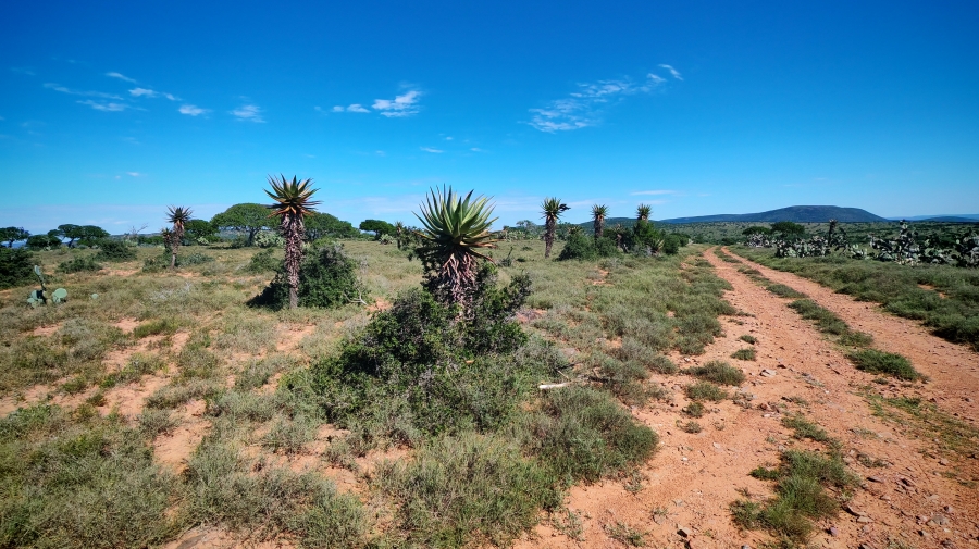 0 Bedroom Property for Sale in Somerset East Rural Eastern Cape